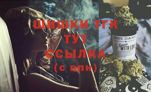 ешки Новодвинск