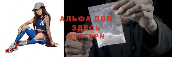 ешки Новодвинск