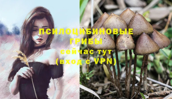 соль курить ск Новокубанск