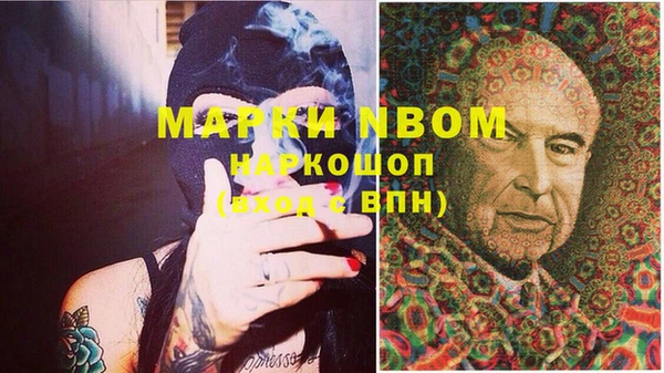 мескалин Няндома