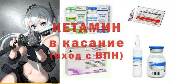 ешки Новодвинск