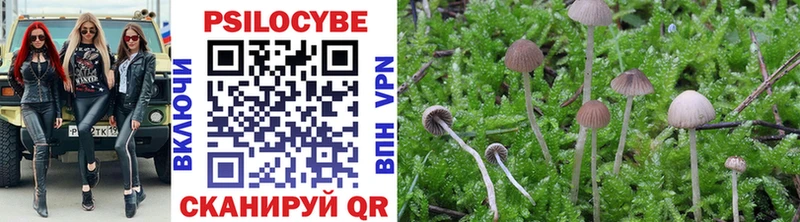 наркота  Минусинск  Галлюциногенные грибы MAGIC MUSHROOMS 