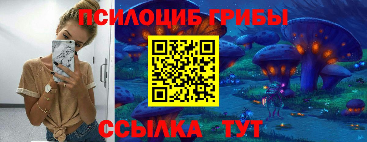 Галлюциногенные грибы мицелий Минусинск